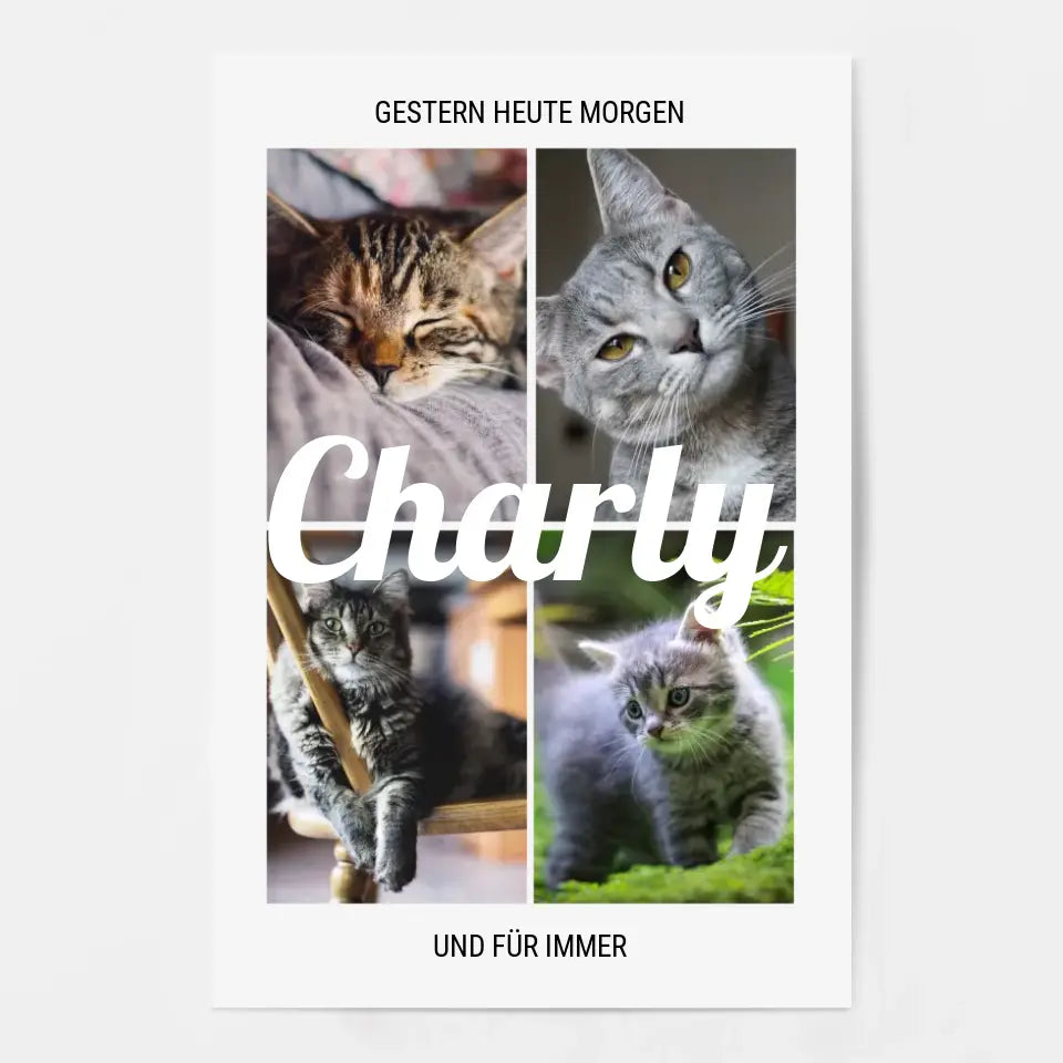 Für immer Katze - Personalisiertes Poster