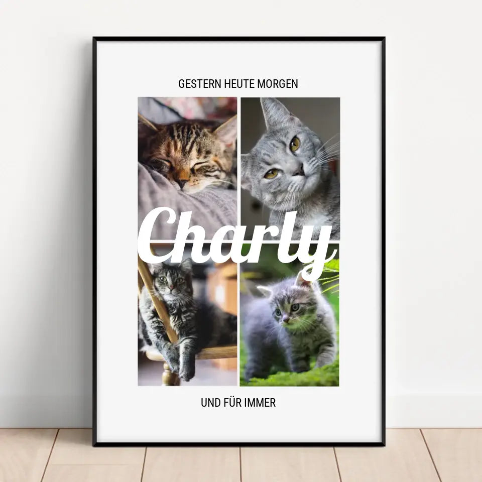 Für immer Katze - Personalisiertes Poster