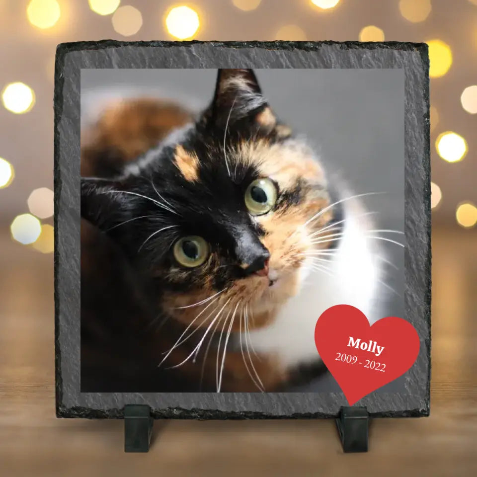 Katzenliebe - Personalisierte Schieferplatte