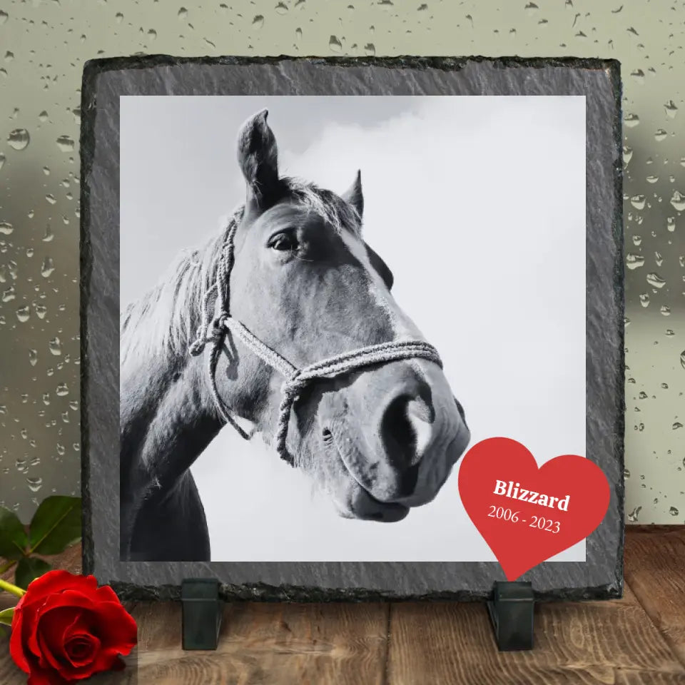 Pferd Forever - Personalisierte Schieferplatte