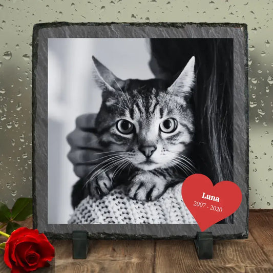 Cat Forever - Personalized Slate Board